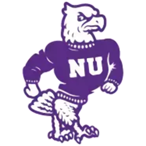 Niagara Purple Eagles logo