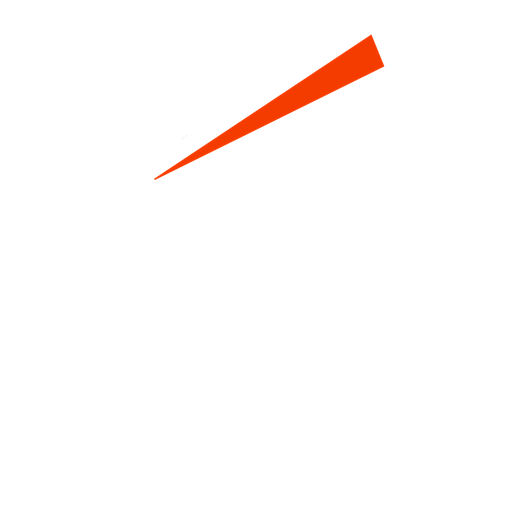 Trent Rockets logo